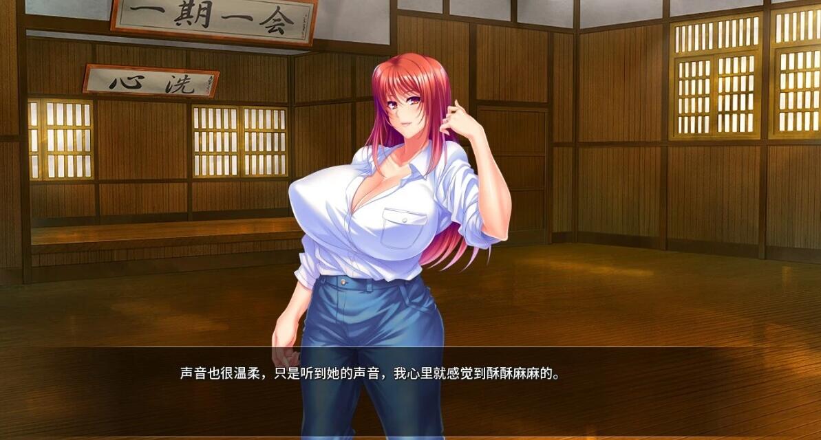 【PC/2D/SLG/中文】银荡美少女战士中出杏爱 STEAM官方中文版【1.4G】