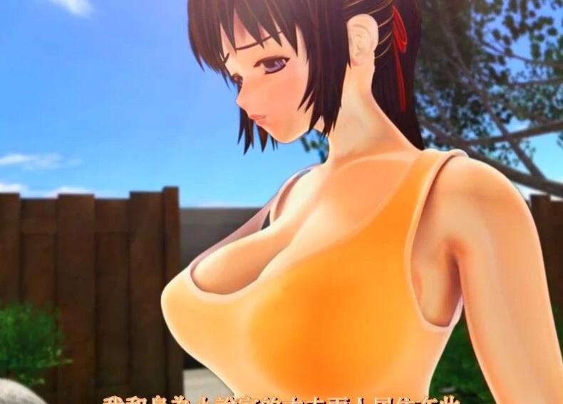 【PC/SLG/3D/同人/汉化】Double Soft Cream：全系列3D游戏+动画作品大合集【17G】