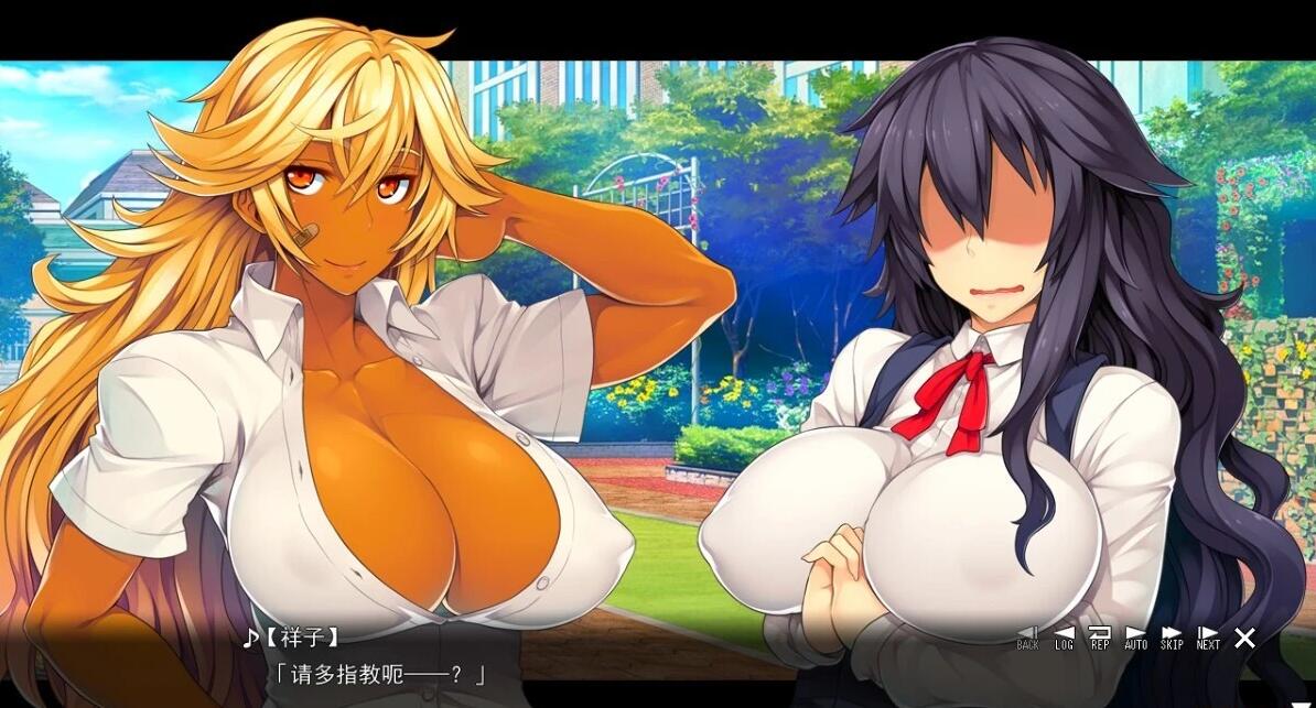 【PC/2D/ADV/汉化】学校的礼物-变成了玩物的大胸不良女孩 AI汉化版【4G】