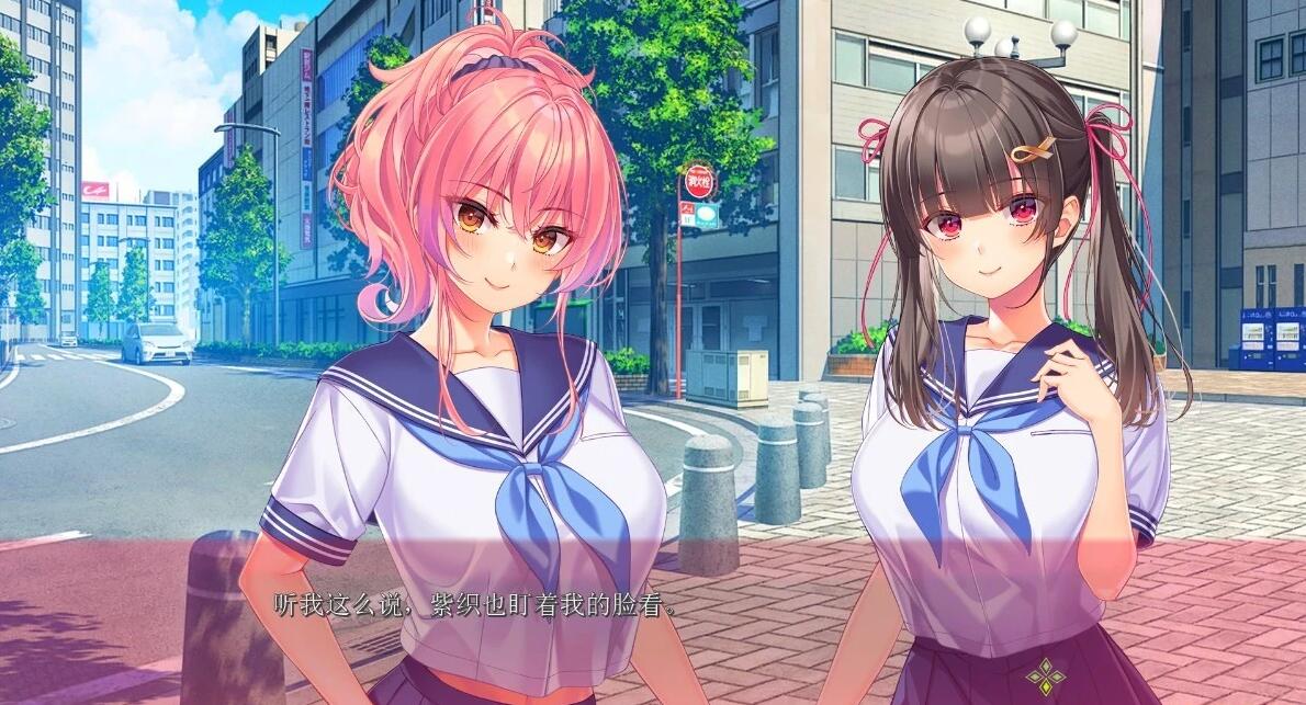 【PC/2D/ADV/汉化】夏への方舟I AI汉化版【2.7G】