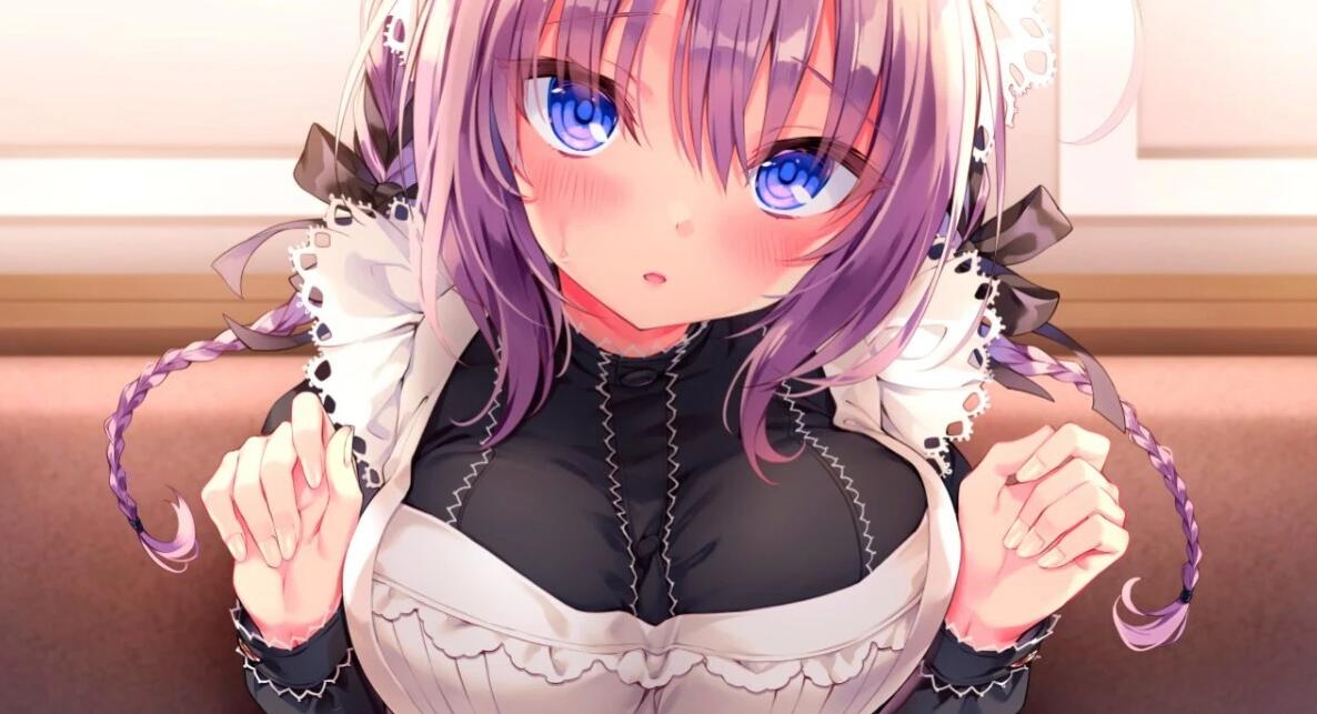 【PC/2D/ADV/汉化】主人,请让塞拉为您献上恩爱的侍奉吧 精翻汉化版【1.7G】