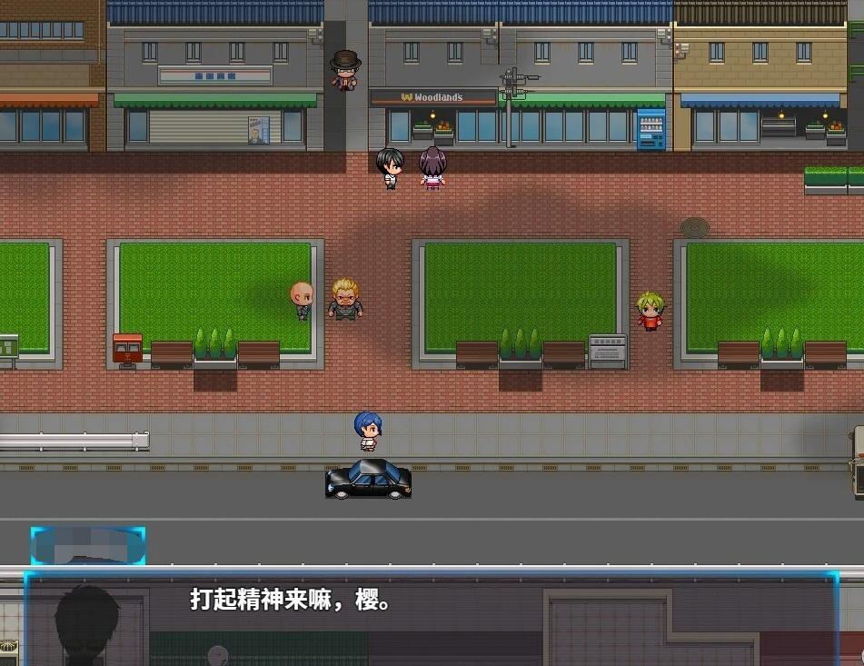 【PC/2D/RPG/中文】光樱闪姫普利塞 V1.0 DL官方中文版【1G】