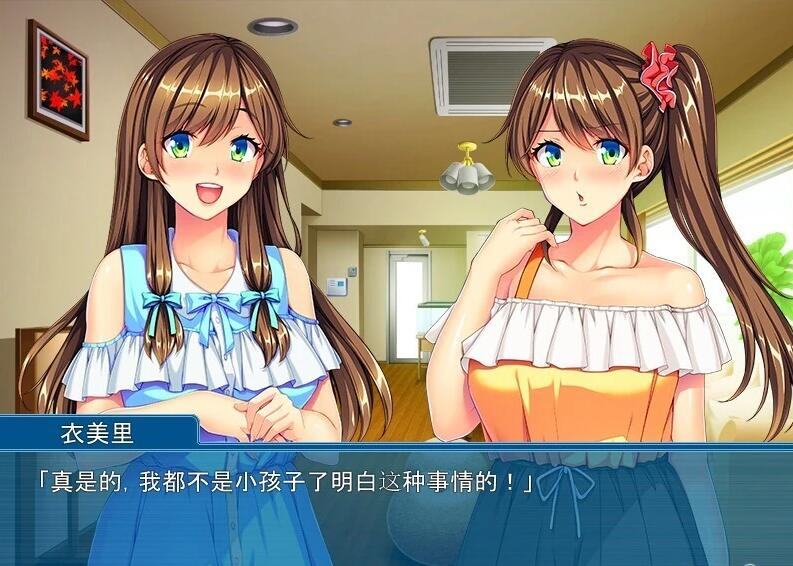【PC/PC/2D/ADV/汉化】姐姐的男朋友-双胞胎妹妹的爱恨~ 双端AI汉化版【550M】