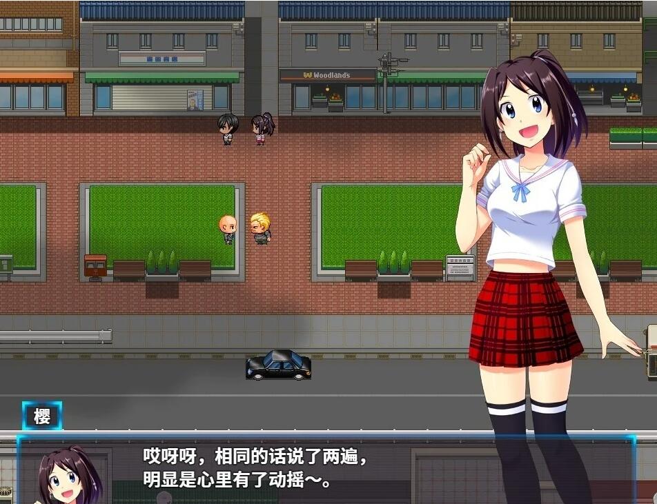 【PC/2D/RPG/中文】光樱闪姫普利塞 V1.0 DL官方中文版【1G】