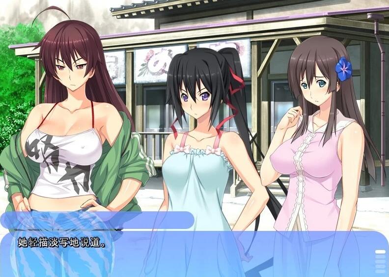 【PC/2D/ADV/汉化】姐姐，今年夏天 姉にこの夏 V1.0 AI汉化版+全CG存档【1.6G】