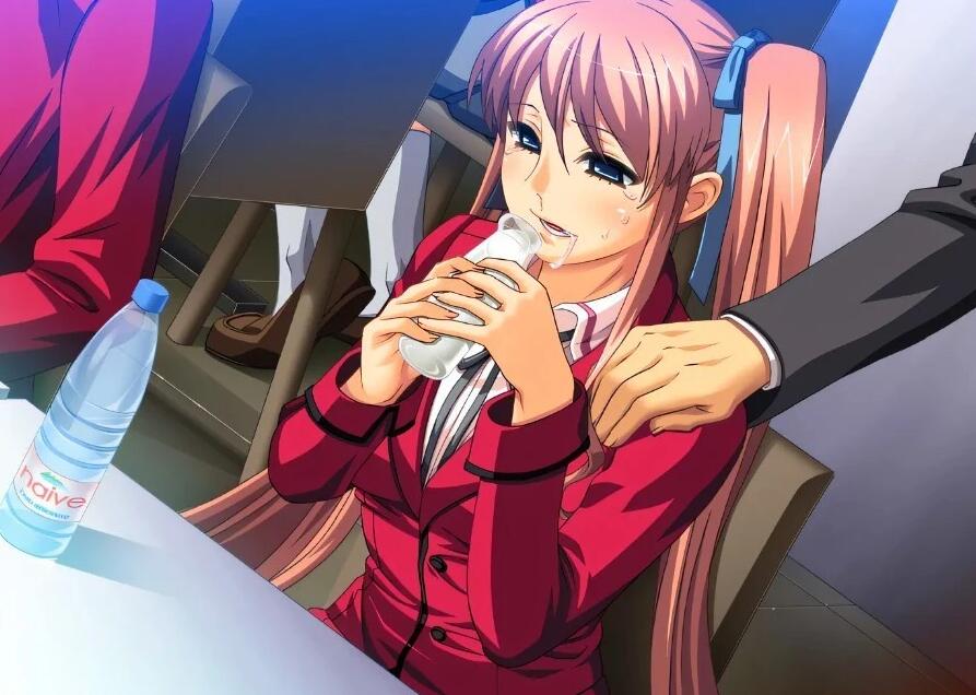 【PC/2D/ADV/汉化】饗宴的红色-心灵训练记录 AI汉化版【5G】