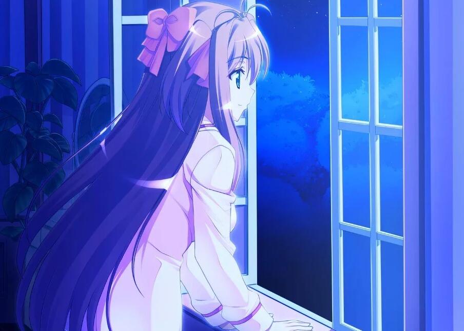 【PC/2D/GAL/汉化】愉悦服务~在梦幻之馆享受贤者时光!AI汉化版【3.3G】需转区运行,不会搞勿下!