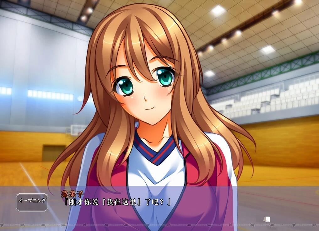 【PC/2D/ADV/汉化】黒之教室 AI汉化版+全CG存档【4G】