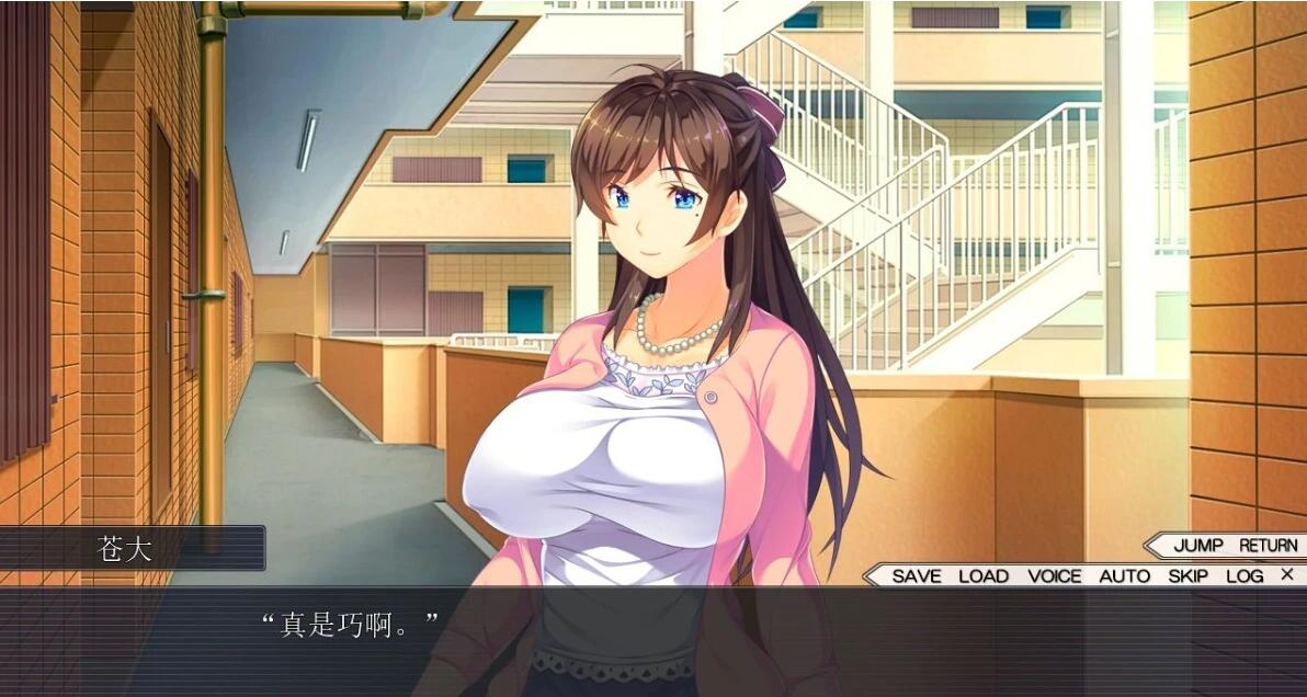 【PC/2D/ADV/汉化】人妻寝取屋 AI汉化版【2.5G】