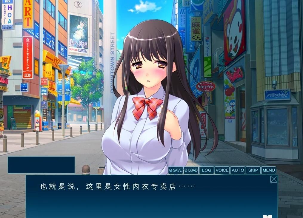 【PC/2D/ADV/汉化】被掠夺的姐姐 AI汉化版+全CG存档【770M】