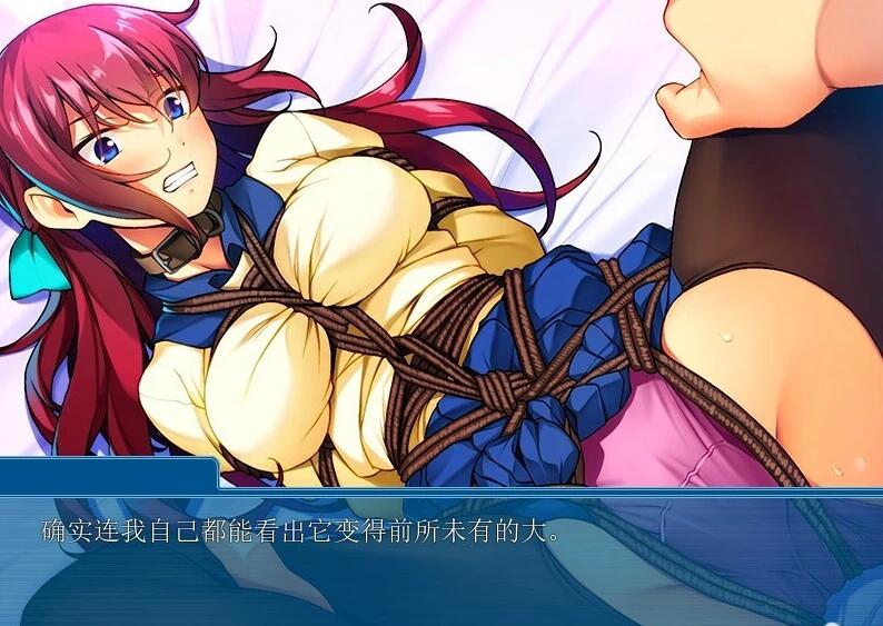 【PC/2D/ADV/汉化】完美学生会长的秘密XP~让女友绽放 双端AI汉化+存档【340M】