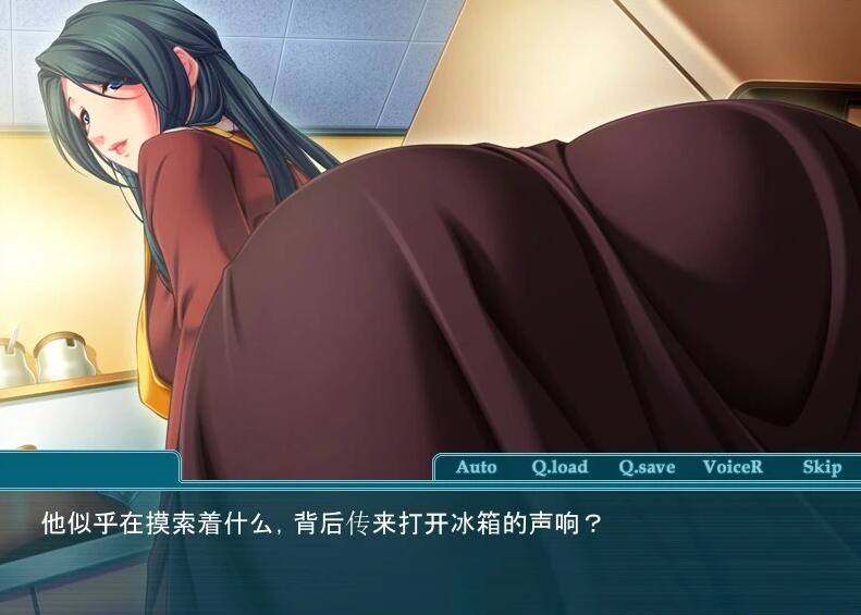 【PC/2D/ADV/汉化】银母乱汝~ 双端AI汉化版【240M】需转区运行，不会搞勿下！内置LE转区工具