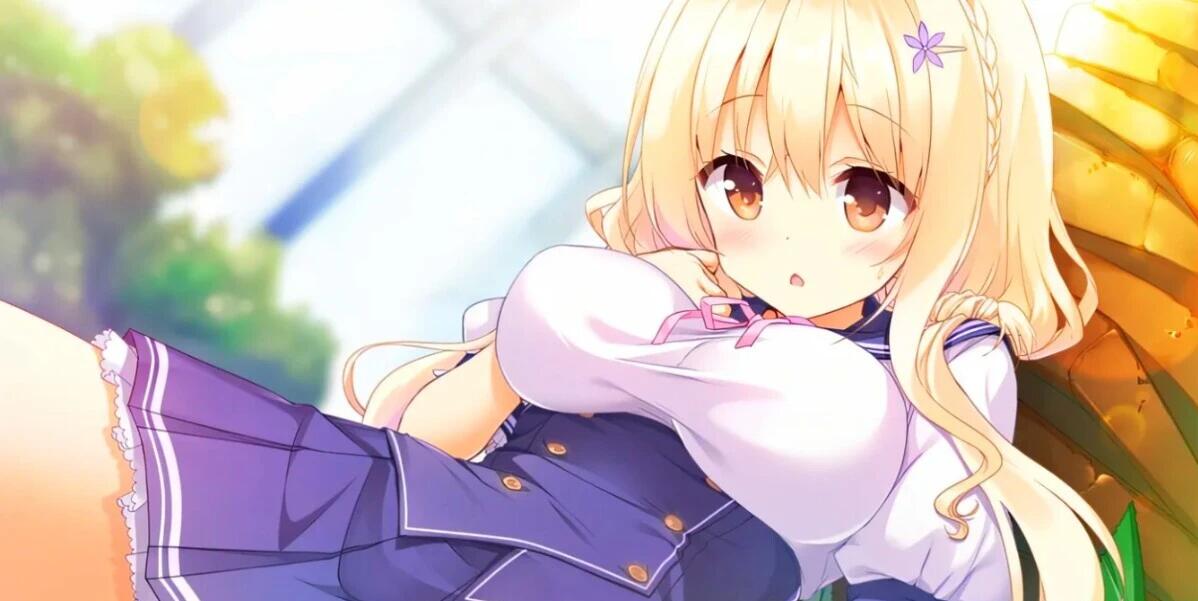 【PC/2D/GAL/汉化】添井ka no gyutto dakishimete AI汉化版【3.2G】