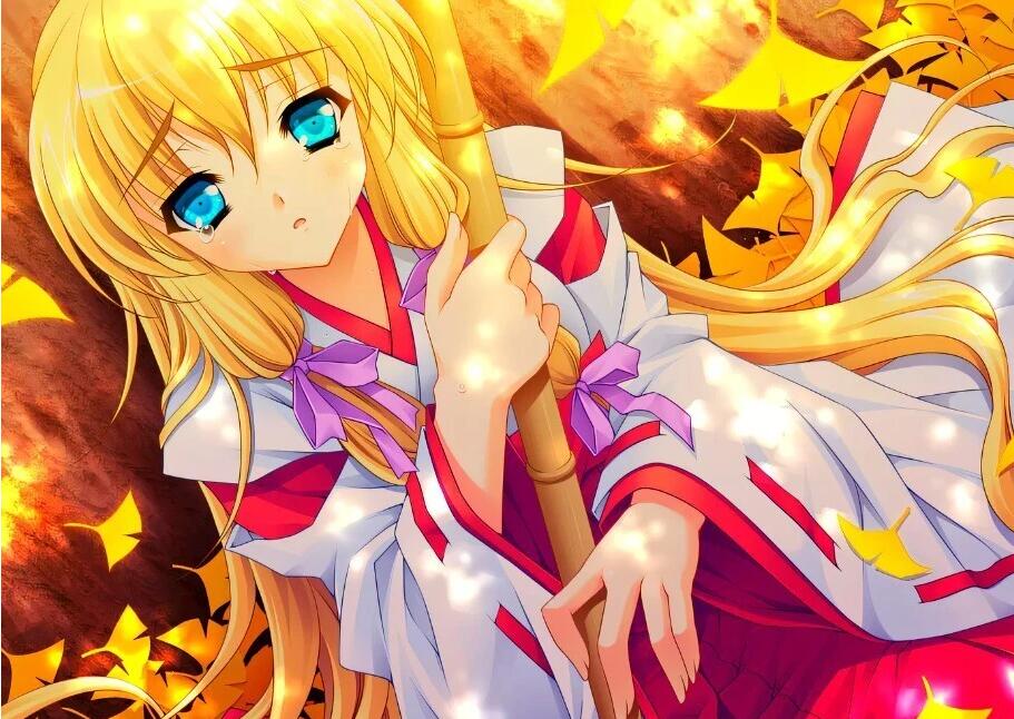 【PC/2D/GAL/汉化】红月 双端AI汉化版【1G】