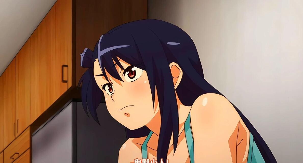 【DH/2D/中文/里番】[月度合集] 2024年06月 中文里番合集【13V/5G】