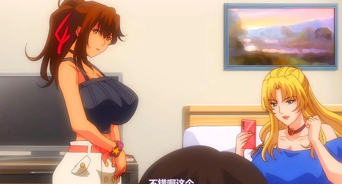 【DH/2D/中文/里番】[月度合集] 2024年06月 中文里番合集【13V/5G】