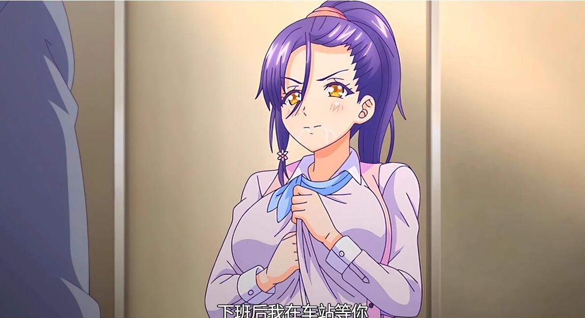 【DH/2D/中文/里番】[月度合集] 2024年06月 中文里番合集【13V/5G】