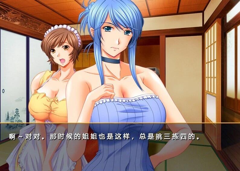 【PC/2D/ADV/汉化】仕舞妻～姉妹妻3～ AI汉化版【3G】需转区运行，不会搞勿下！