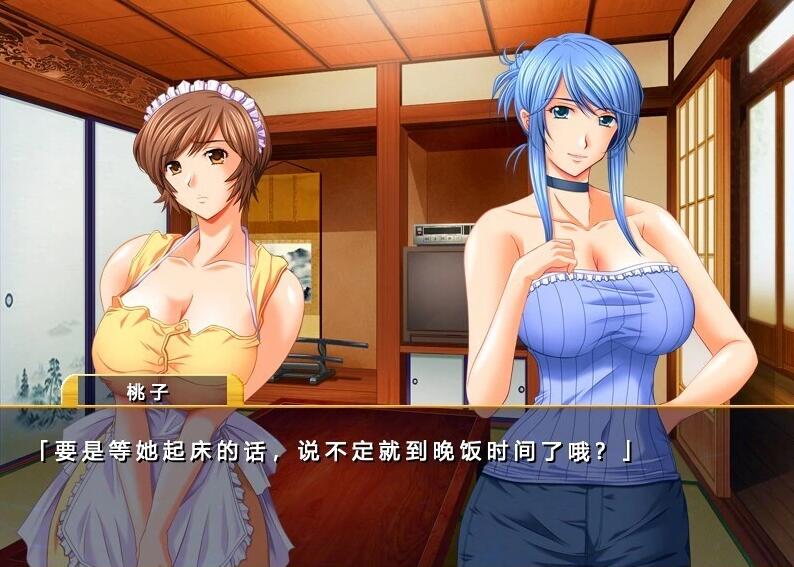 【PC/2D/ADV/汉化】仕舞妻～姉妹妻3～ AI汉化版【3G】需转区运行，不会搞勿下！