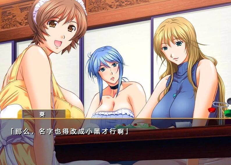 【PC/2D/ADV/汉化】仕舞妻～姉妹妻3～ AI汉化版【3G】需转区运行，不会搞勿下！