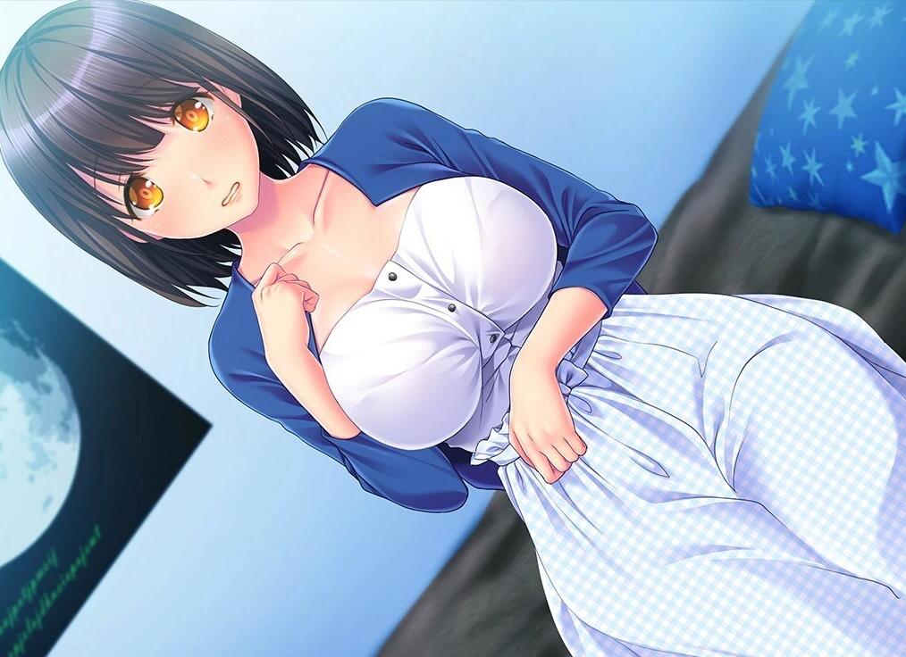 【PC/2D/ADV/汉化】流转而来的夏日…… AI汉化版【410M】