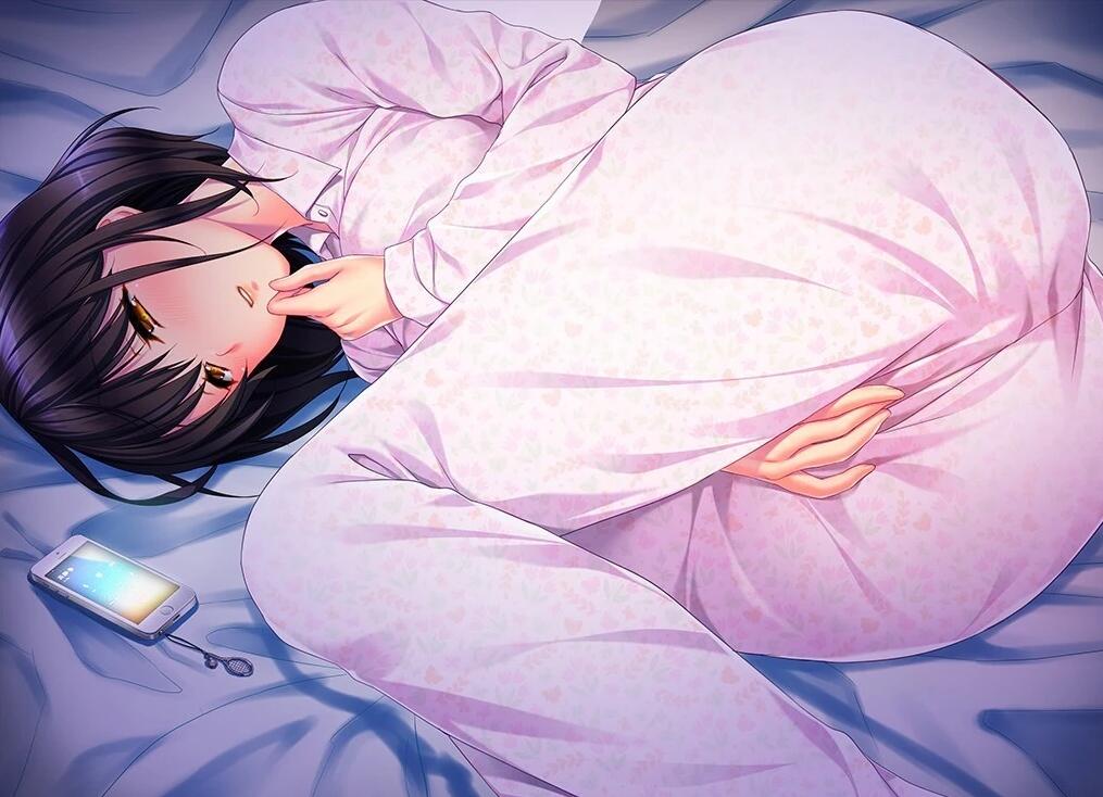 【PC/2D/ADV/汉化】流转而来的夏日…… AI汉化版【410M】