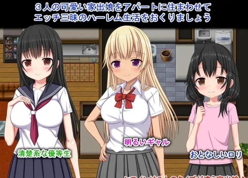 【PC/2D/RPG/中文】梨佳庄～与离家出走女孩的后宫性生活～V1.2 DL官中【650M】