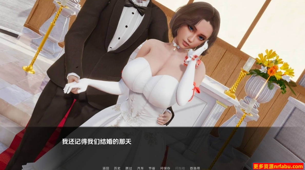 【PC/3D/SLG/汉化】NTR H编年史 Chronicles NTR V1.0 汉化版【500M】