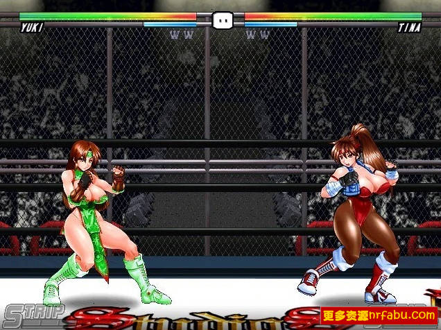 【PC/2D/FTG/中文】Strip Fighter 5 V1.2hotfix STEAM官方中文豪华完整版+DLC【850M】