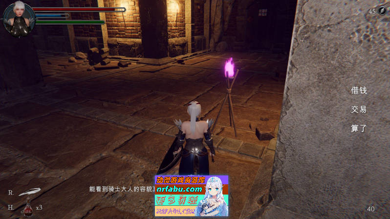 [PC/3DACT/中文/动态]地下城的女骑士 官方中文步兵版+存档[新步兵][  3.3G ]