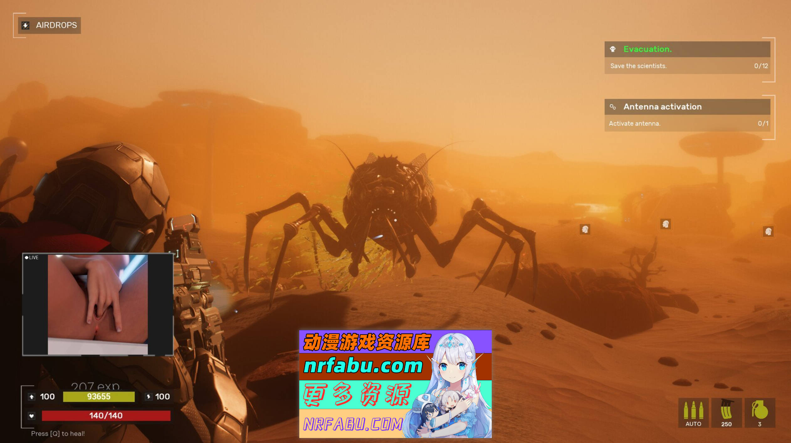 [PC/3D大型FPS/中文/动态]性别多样性 官方中文步兵版[新作][8.2G]